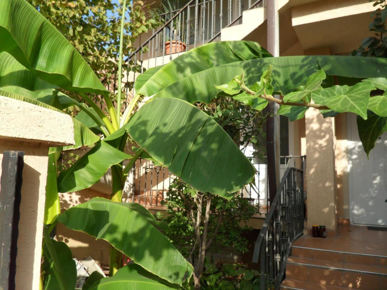 Misko'S Guest House 斯科普里 外观 照片